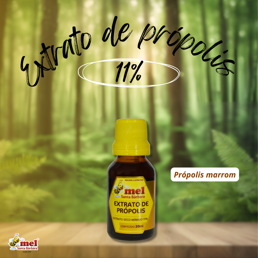 Extrato de Própolis Marrom 11% Mel Santa Bárbara 20ml | Alta Concentração | Imunidade Natural